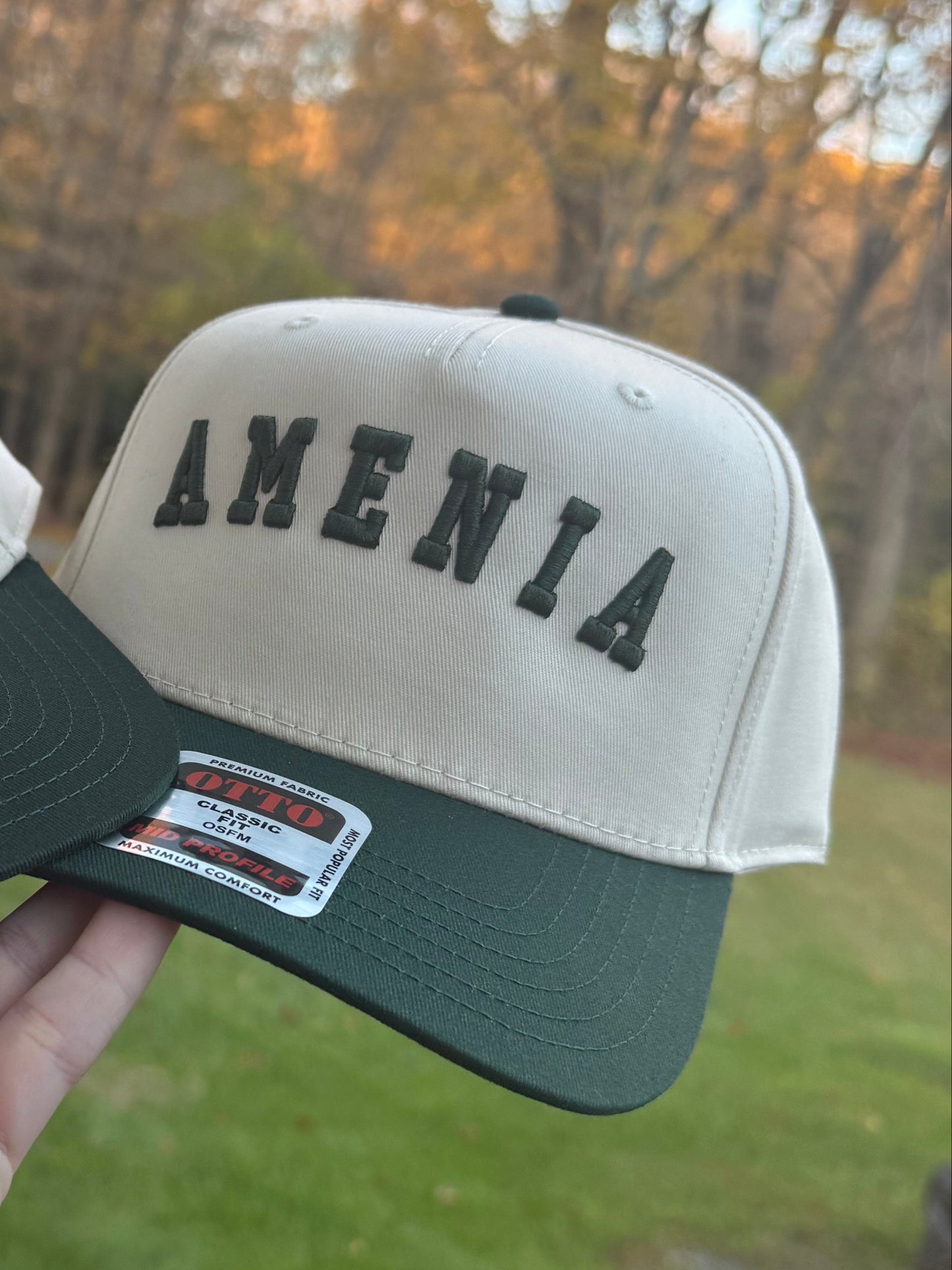 Amenia Puff Embroidery Hat