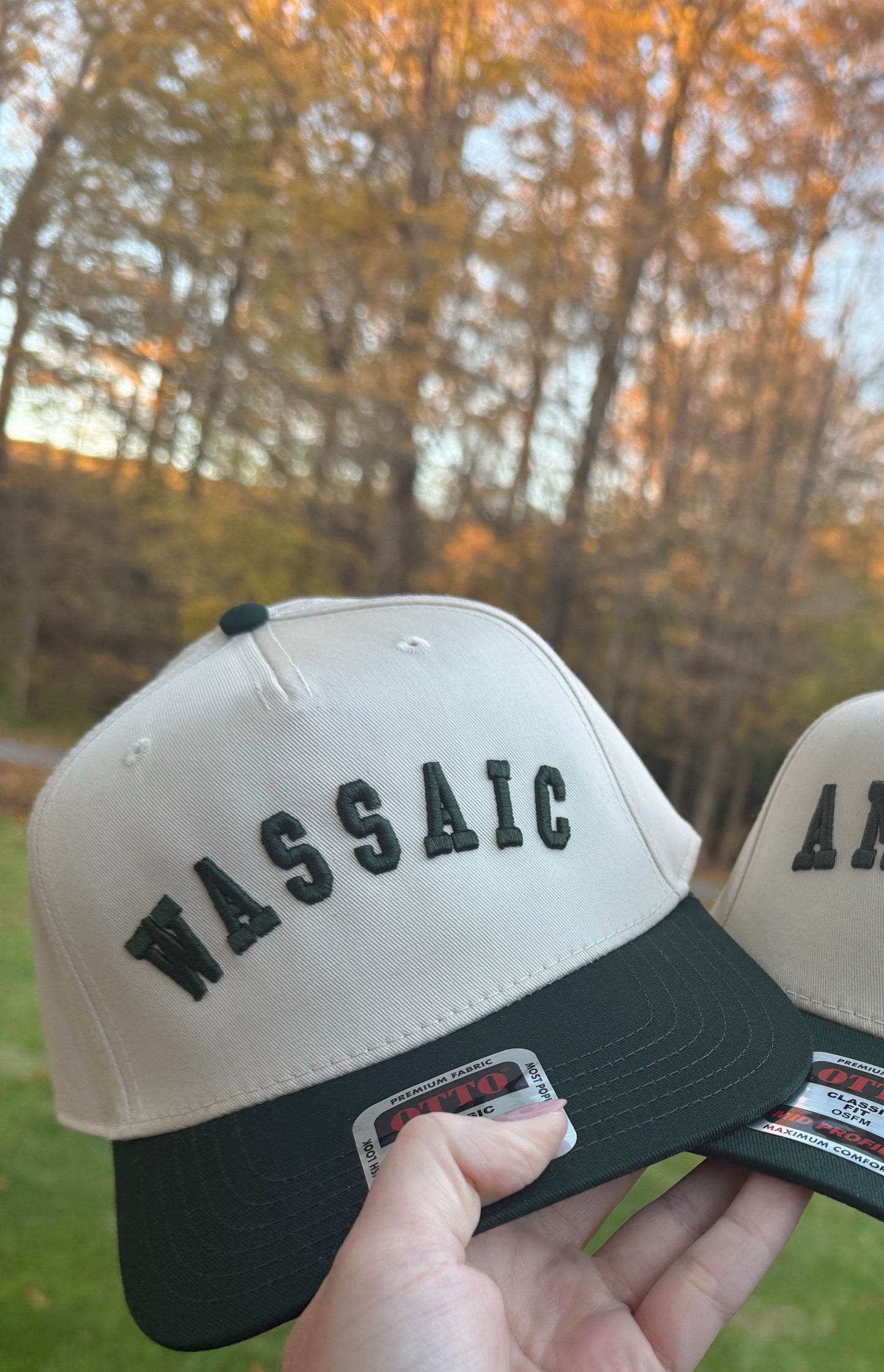 Wassaic Puff Embroidery Hat